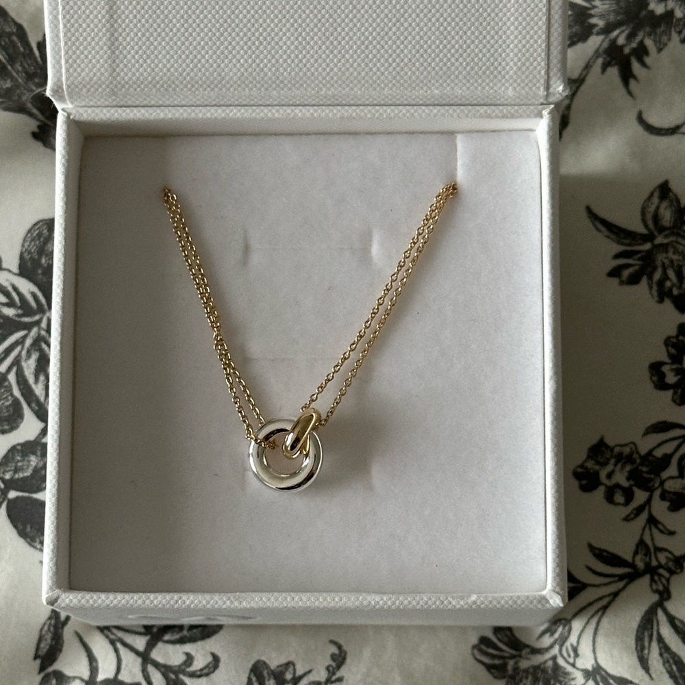 Mejuri Silver And Gold Pendant New In Box
